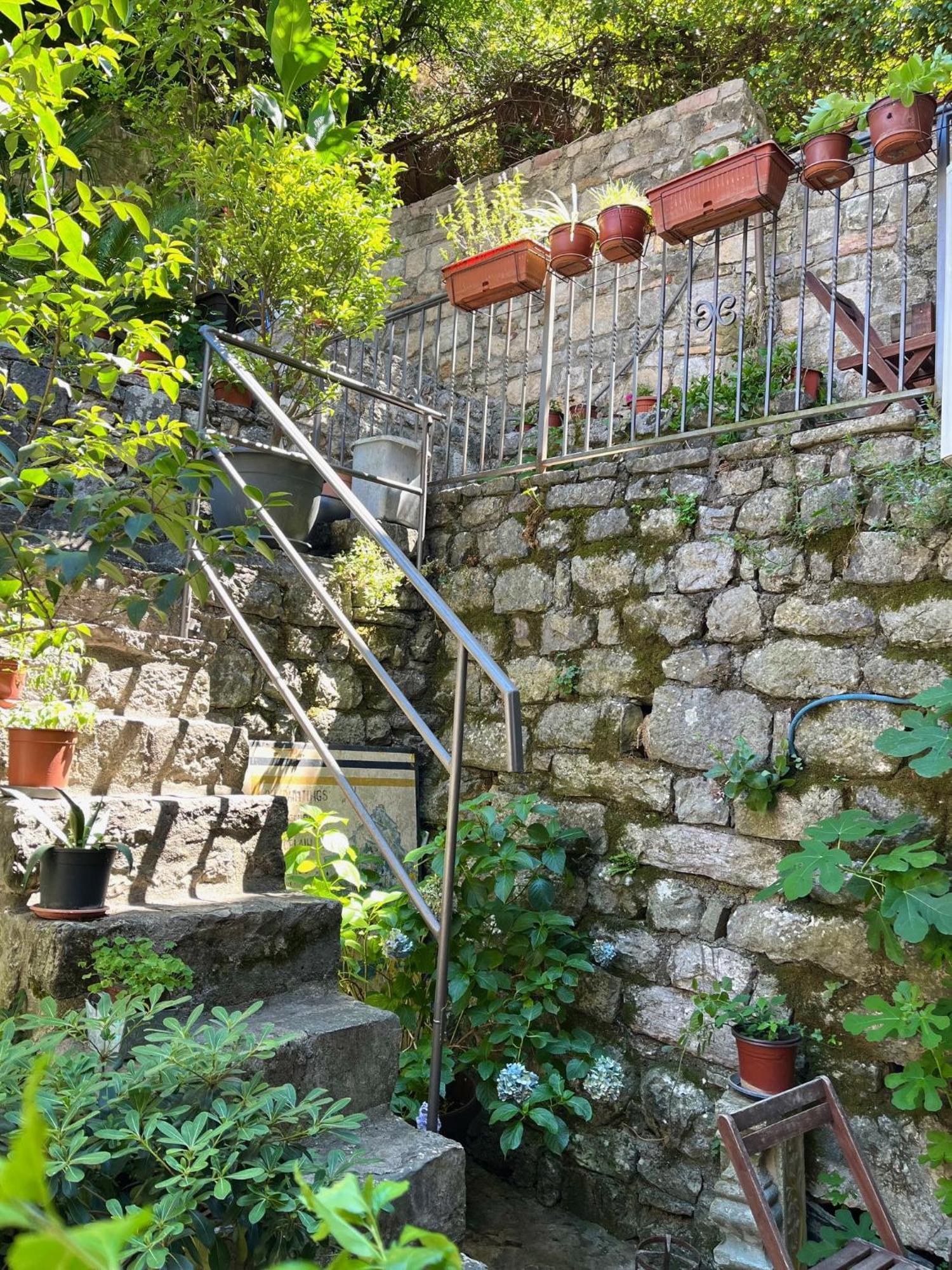 Healthystudio512 Apartments Kotor Exterior foto